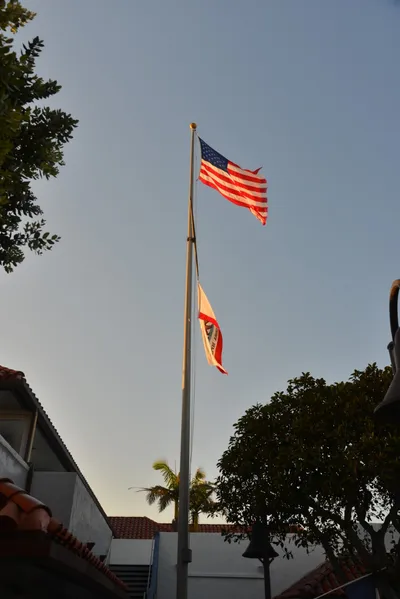 DSC_7298 (Large).JPG